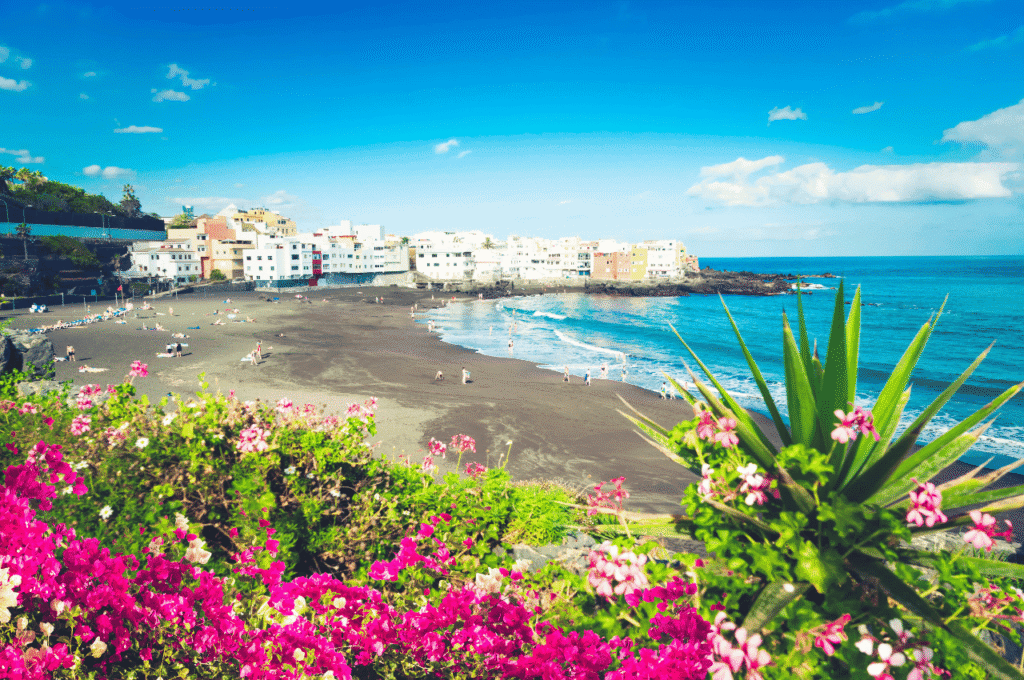 tenerife beach with pink flowers
