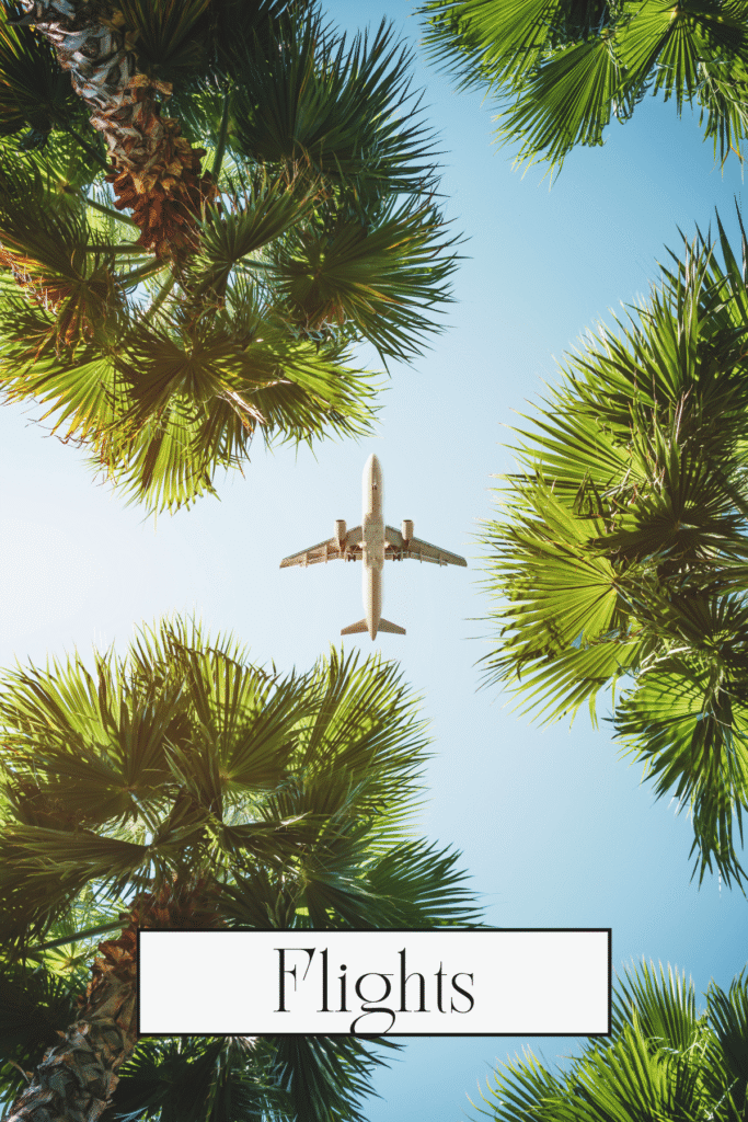 airplane flying above palm trees