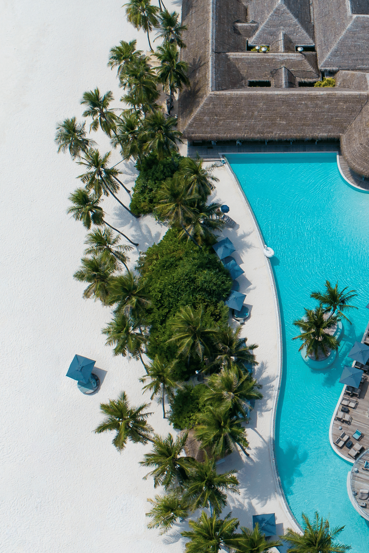 luxury hotel pool with palm trees