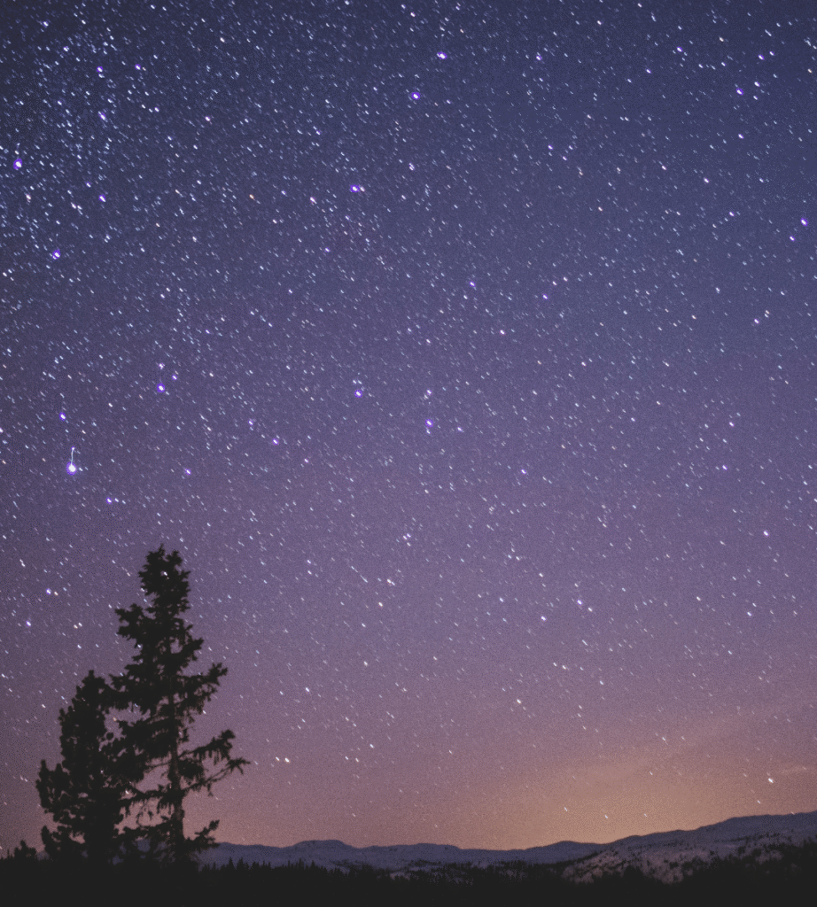 night sky full of stars