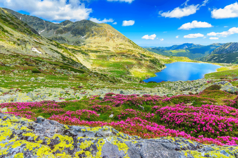 top things romania (2)
