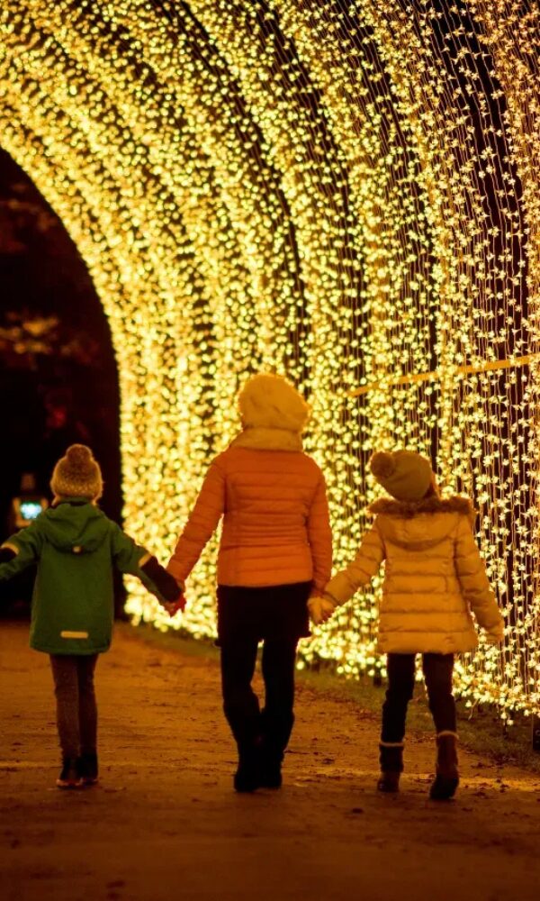 Things to Do in London at Christmas 2025 61 10 1