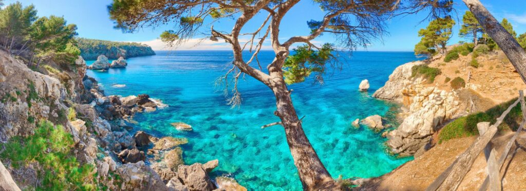 Mallorca favourites 56 5 1 1