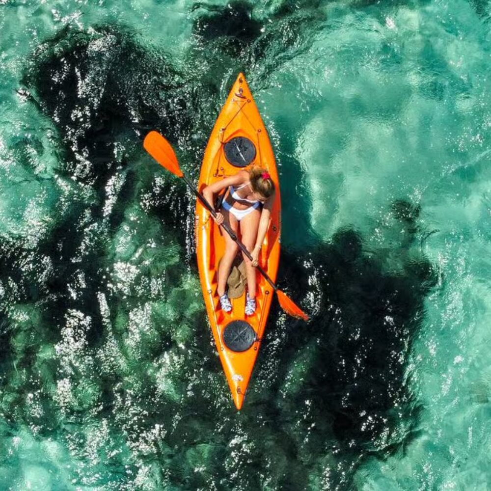 Sardinia things to do 47 Kayak Tour with Dolphins