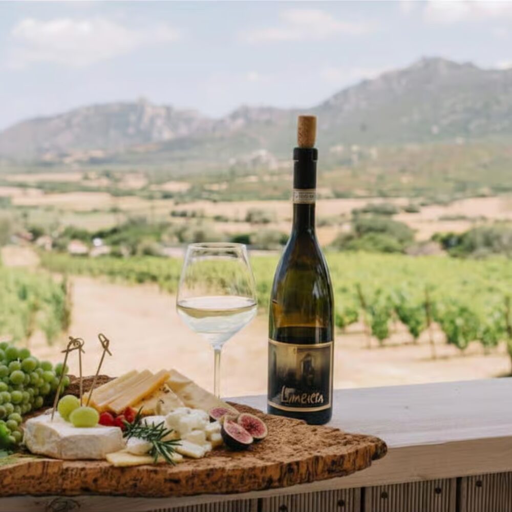 Sardinia things to do 52 Olbia Gallura Winery Guided Tour with Tasting