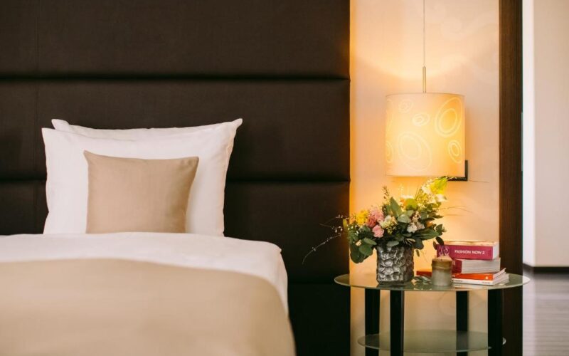 Hotel Timisoara (5)