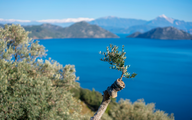 august destinations (6)