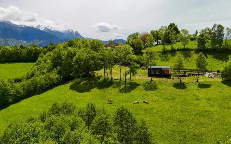 Top Villas in Romania: Chalet stays in Nature 32 doza (1)