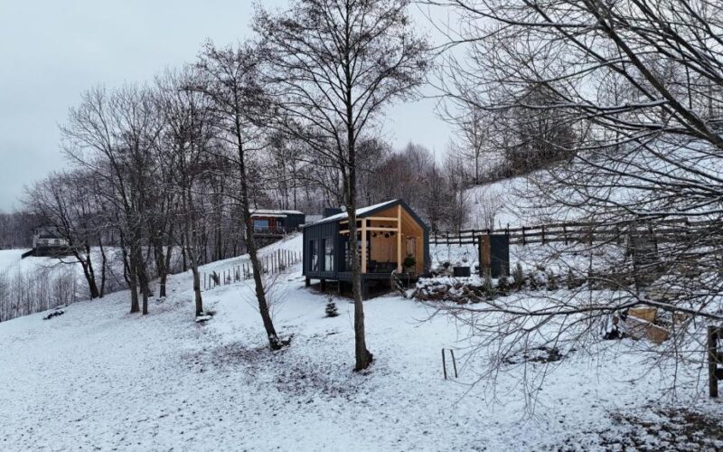 Top Villas in Romania: Chalet stays in Nature 36 doza (5)