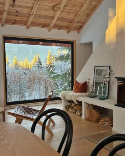 Top Villas in Romania: Chalet stays in Nature 100 forestia (10)