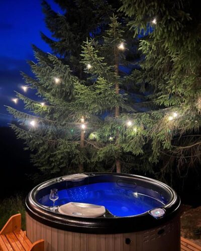 Top Villas in Romania: Chalet stays in Nature 92 forestia (2)